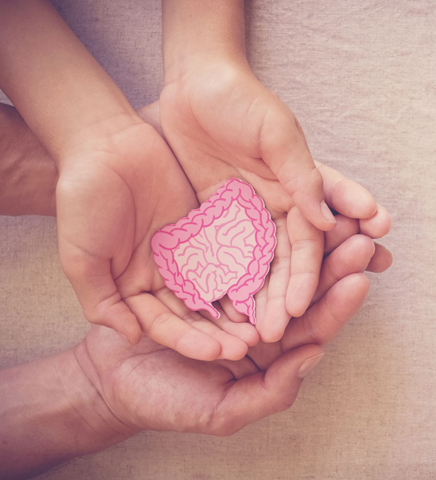 vznik strevni mikroflory