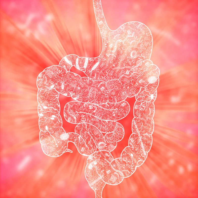 Strevni Mikroflora Histamin