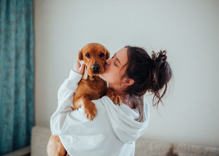 Gestresster Hund kuschelt mit Frau
