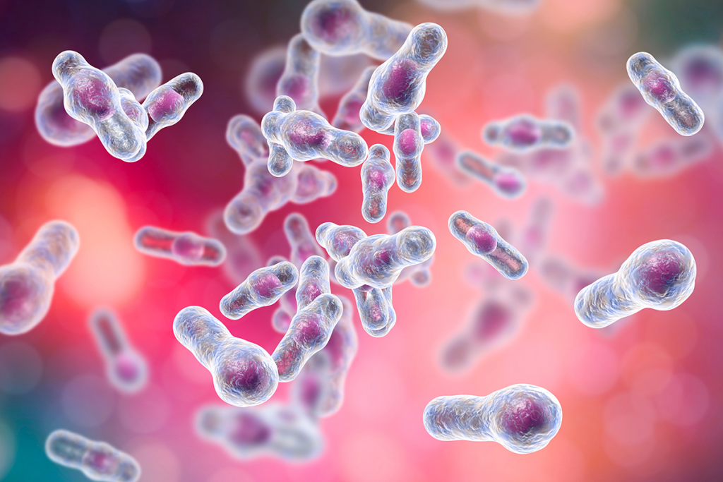 Bakterien – die Superhelden in unserem Darm