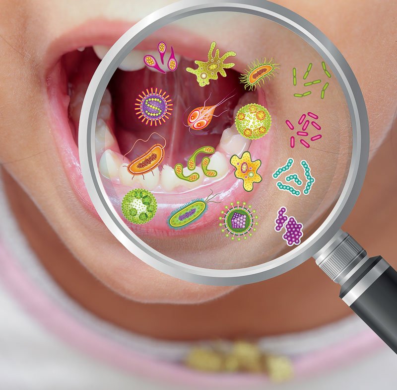 Mundmikrobiom - eine Vielzahl an Mundbakterien sorgt für ein gesundes Immunsystem