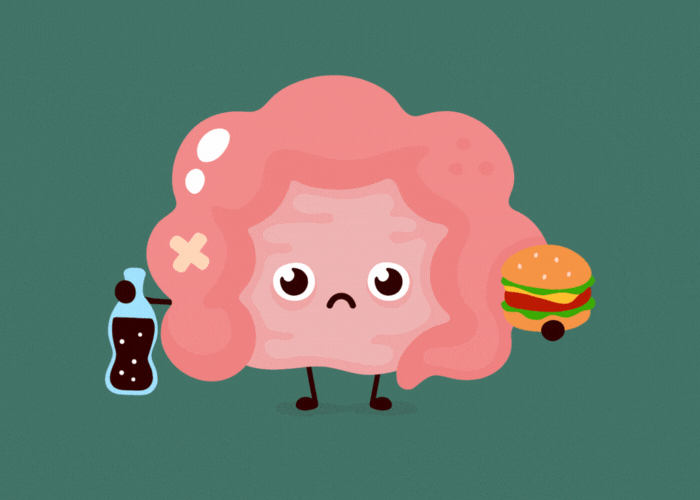 Was machen Ballaststoffe im Darm?