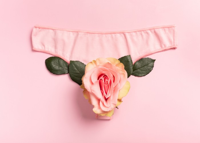 Scheidenflora im Lauf des Lebens, dargestellt durch eine Unterhose mit einer Rose