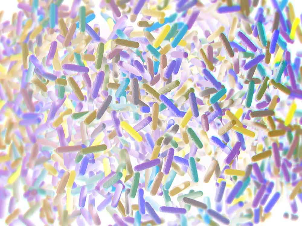 Darmflora und Medikamente 14 flora intestinal dañada