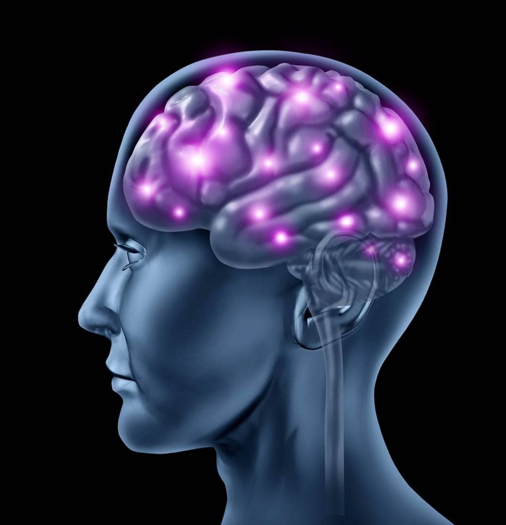 Nur eine Synapse bis zum Hirnstamm