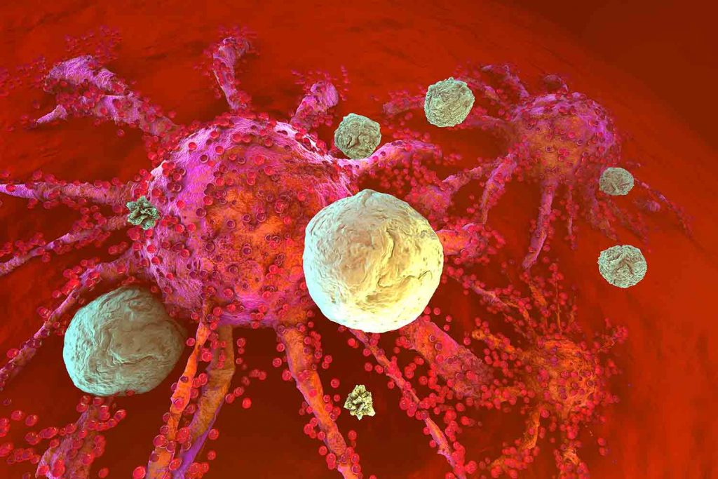 Mythen über das Immunsystem 9 Immunzellen