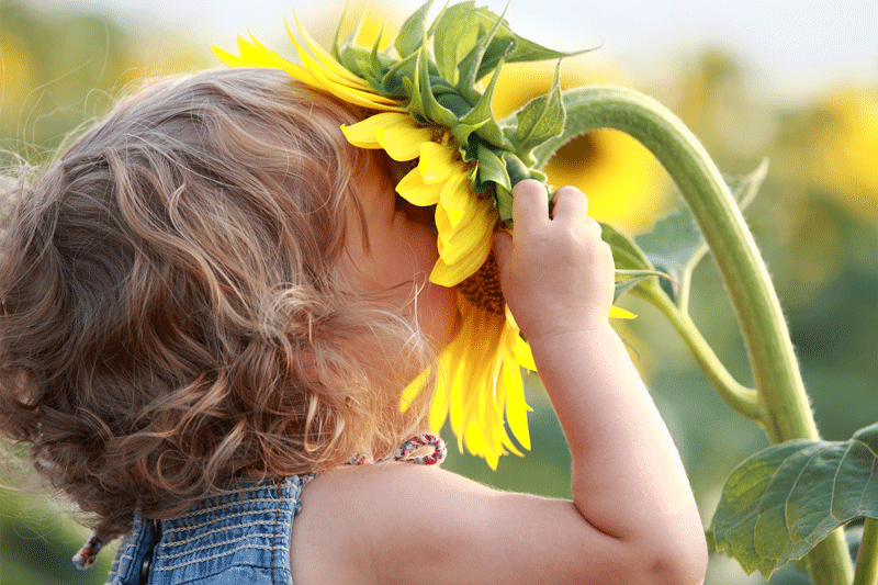 Kinder und Allergien 7 Eine gesunde Darmflora kann das Risiko für die Entwicklung von Allergien deutlich senken.