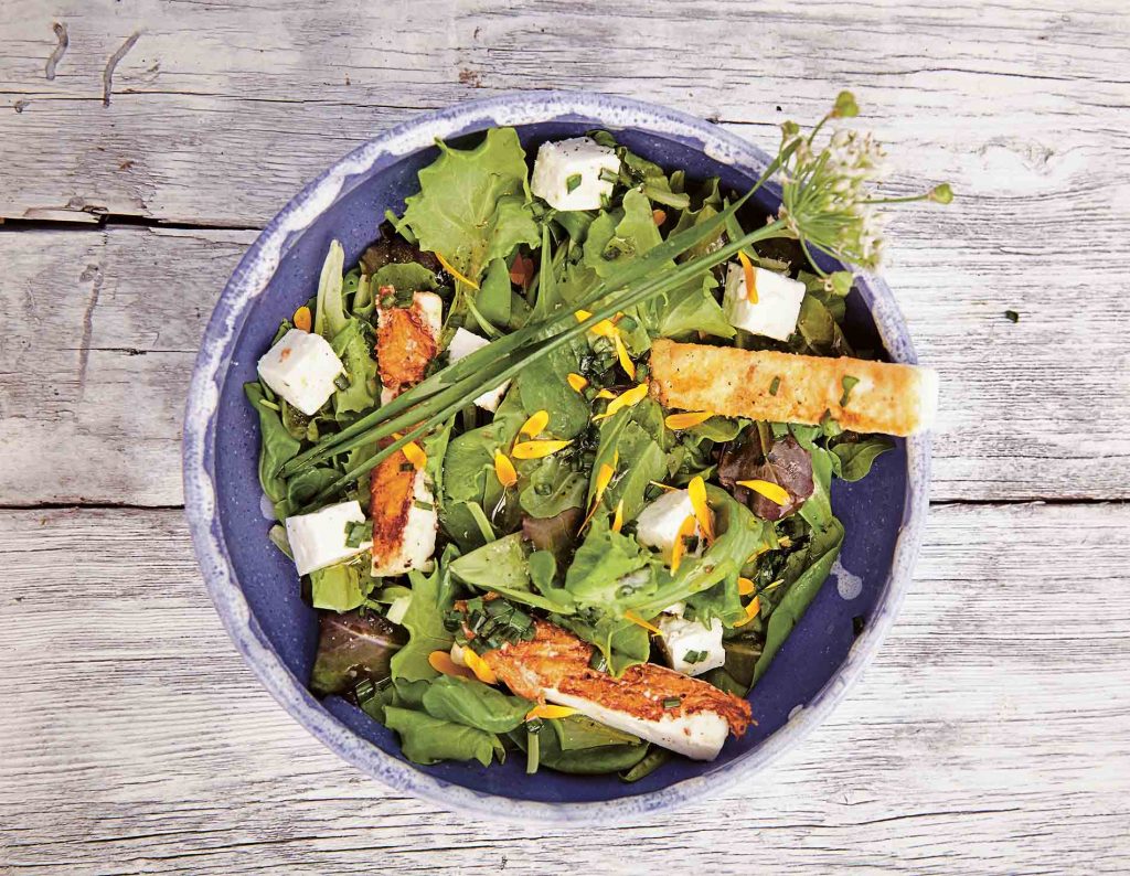 schafkaesespinatsalat 3