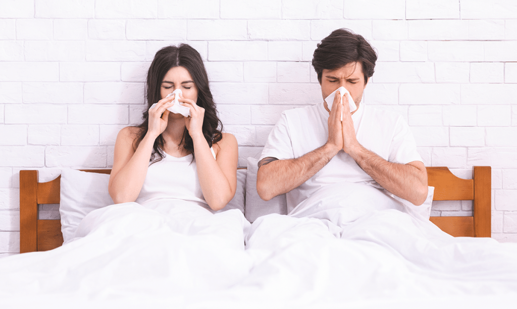 Hausstaubmilbenallergie: Ist das der Grund für Ihre Allergien und Symptome?