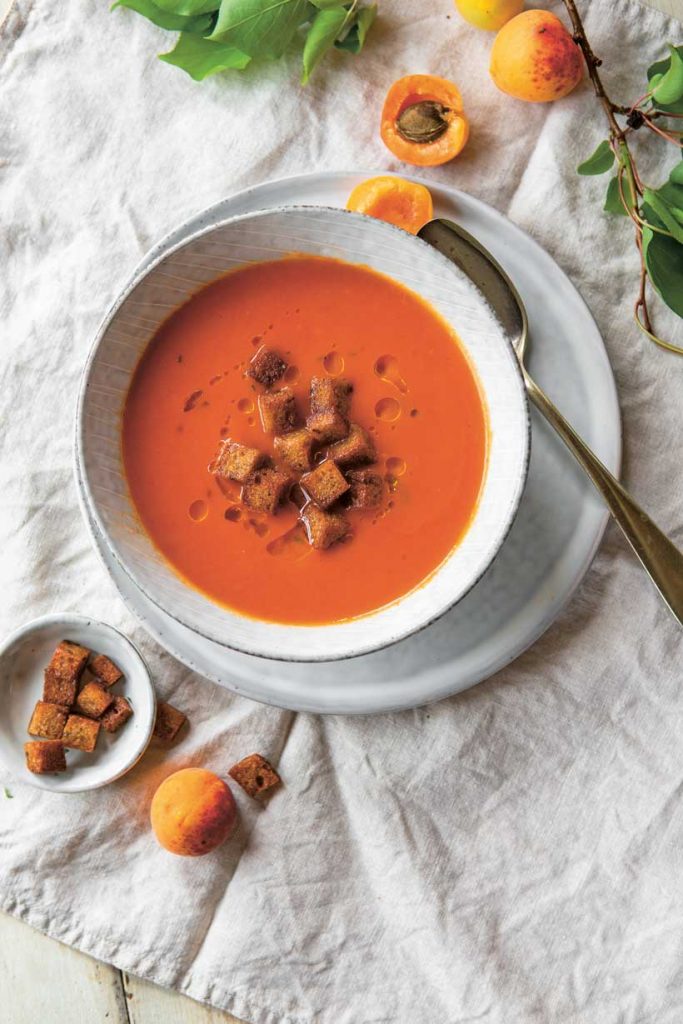 tomaten marillen suppe 3