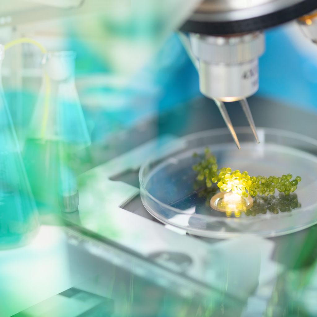 Wirtschaftliche Nachhaltigkeit