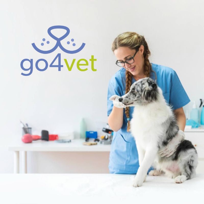 go4vet - finden Sie einen qualifizierten Tierarzt in Ihrer Nähe
