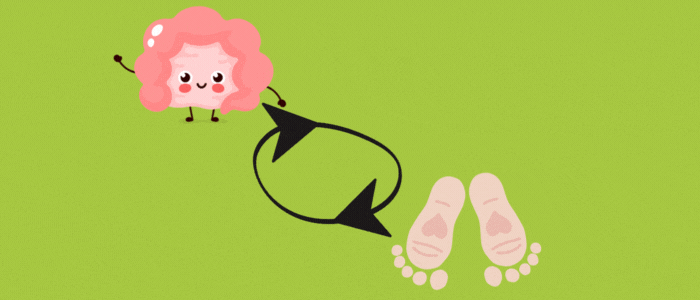 grafische darstellung eines darms der mit den fuessen ueber die darm-haut-achse in verbindung steht