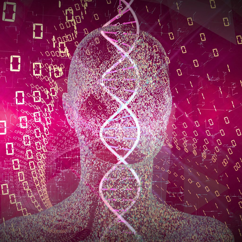 Biohacking & Longevity - Einfluss des Darms auf gesundes Altern