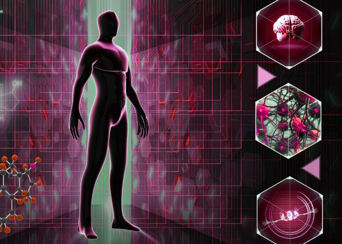 Autoimmunerkrankungen - vielfältige Ausprägungen chronischer Krankheiten beim Menschen