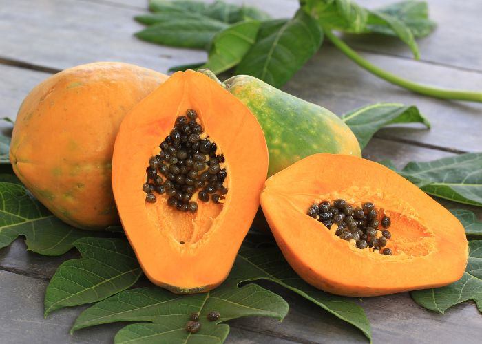 Papaya kann die Eiweißverdauung unterstützen