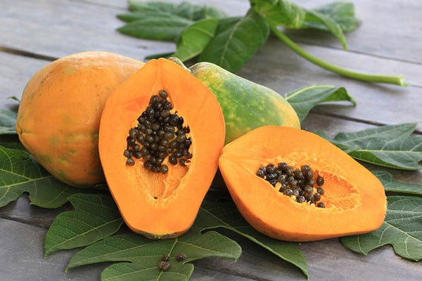 Powerfrucht Papaya bei Verdauungsbeschwerden