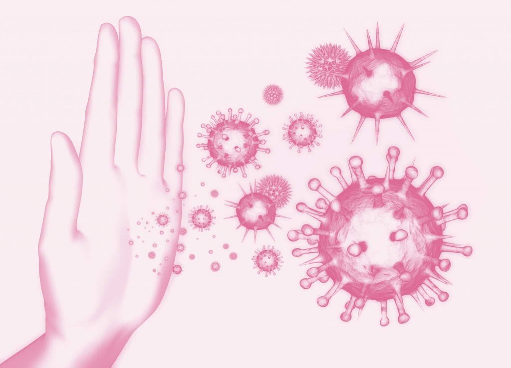 Eine gesunde Darmflora für ein starkes Immunsystem