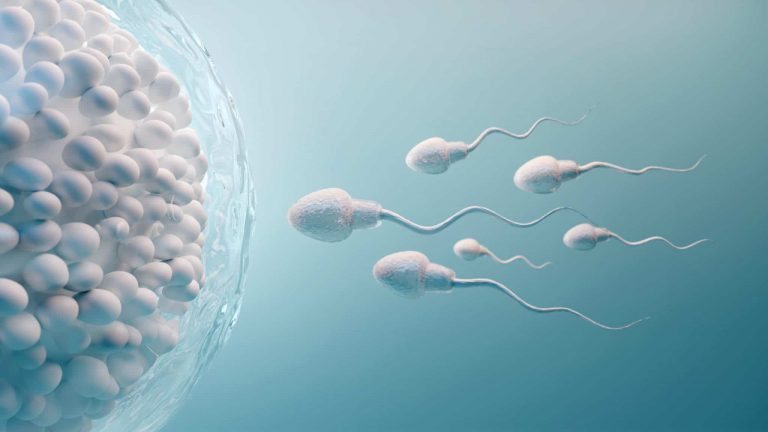 Infertilité féminine et microbiome