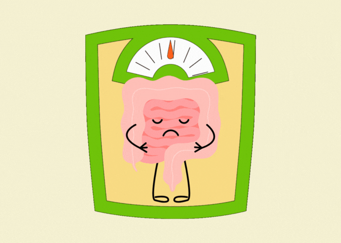 Darm als Gewichtsfalle?