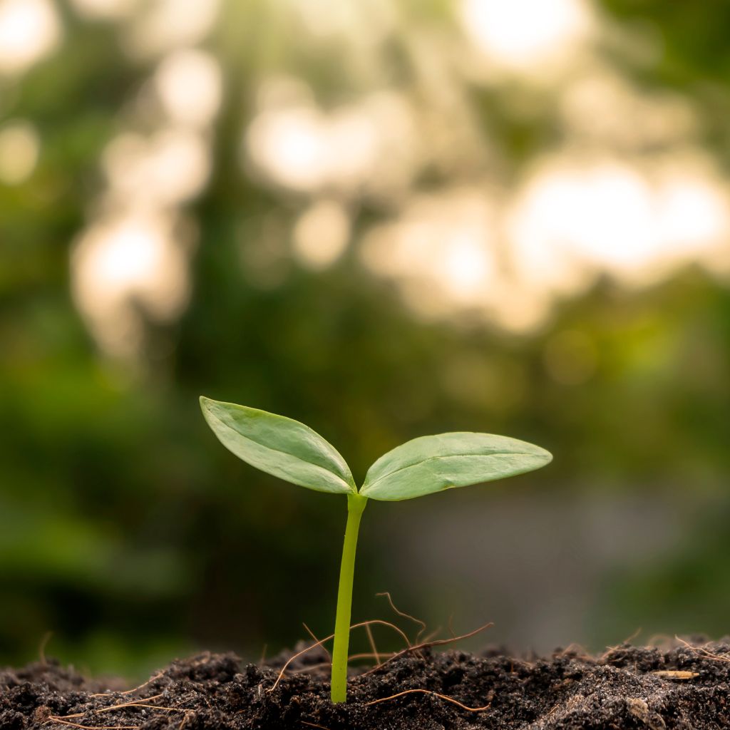 Gelebte Nachhaltigkeit am Institut AllergoSan