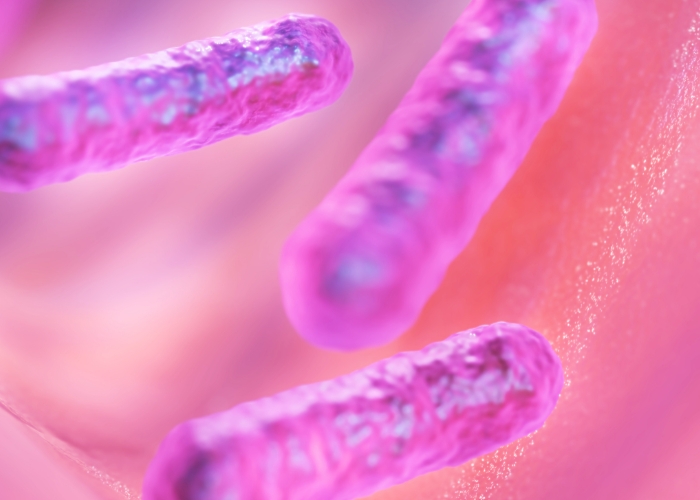 Figurschmeichler Bakterien