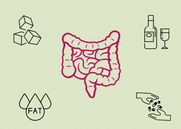 Diese Lebensmittel beeinflussen den Darm