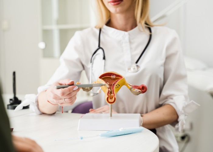 Ärztin bei der Diagnose einer Endometriose