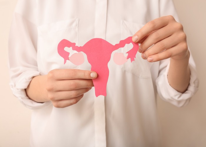 Frau hält Uterus mit Eileiter in der Hand - hormonelle Veränderungen können die Scheidenflora aus dem Gleichgewicht bringen