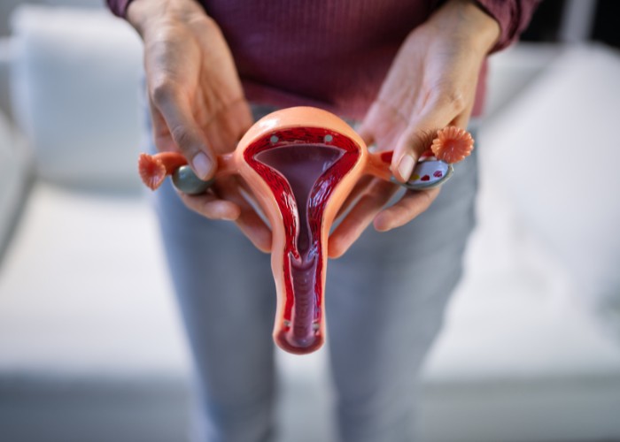 Frau hält Uterus - Dauerthema scheideninfekt