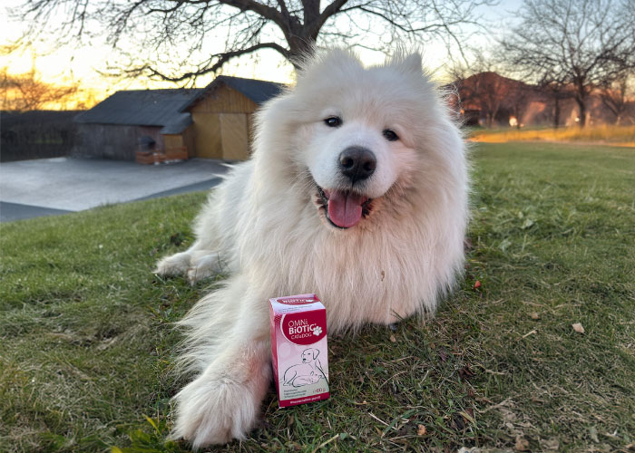 OMNi-BiOTiC® CAT & DOG: das innovative Probiotikum für Hunde und Katzen