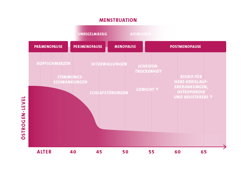Phasen der Wechseljahre inklusive verschiedenen Beschwerden