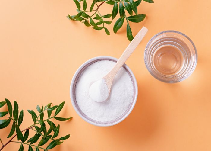 Probiotika als Pulver neben einem Glas Wasser: Probiotika als effektiver Therapieansatz bei Hashimoto Thyreoiditis?