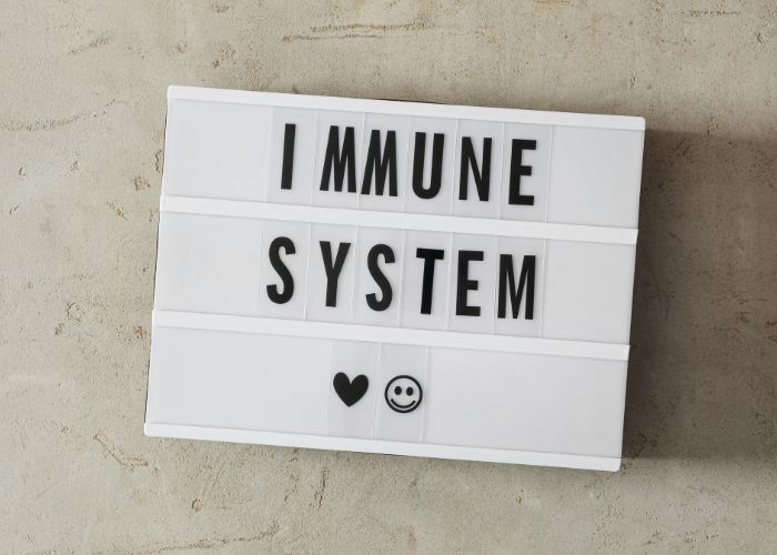Immunsystem