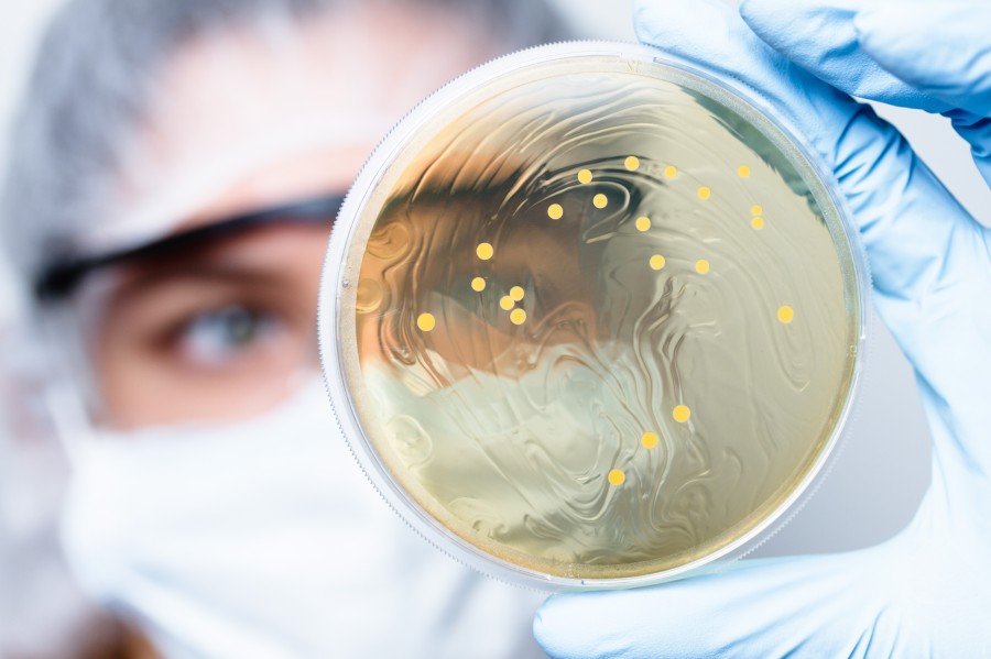 Qualität und Forschung am Institut AllergoSan