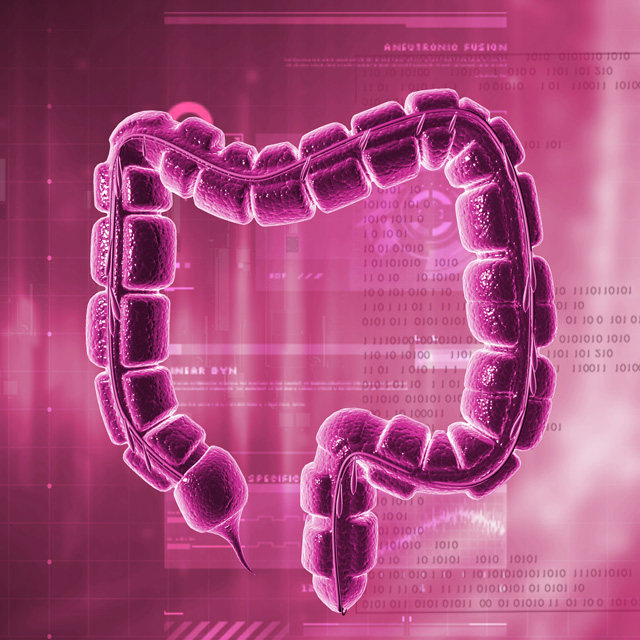 leaky gut syndrome holey intestinal wall permeable toxins