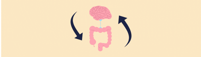 gut brain axis stress cortisol 1