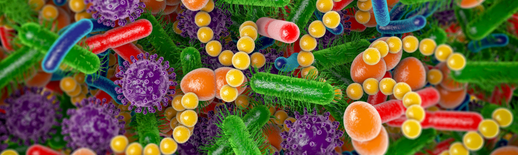 antibiotics child gut health