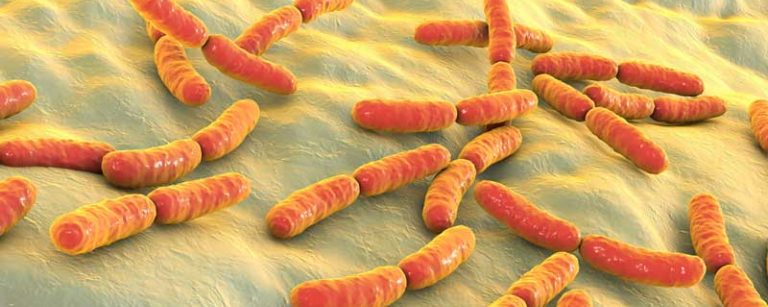 gut health probiotic anti aging spermidine e1752741837875