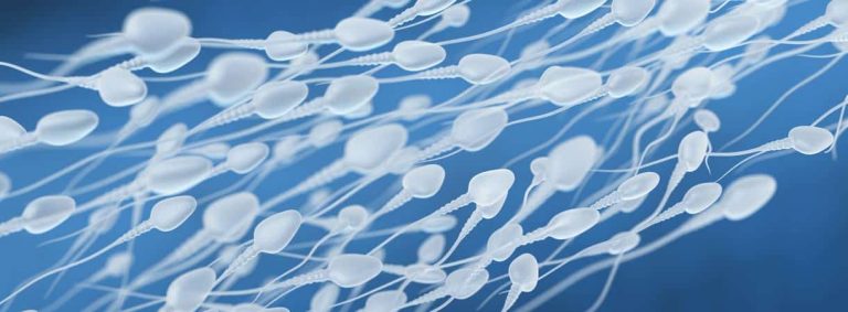 Probiotika lassen die Spermienzahl wieder steigen.