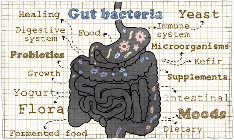 gutbacteria 2 1