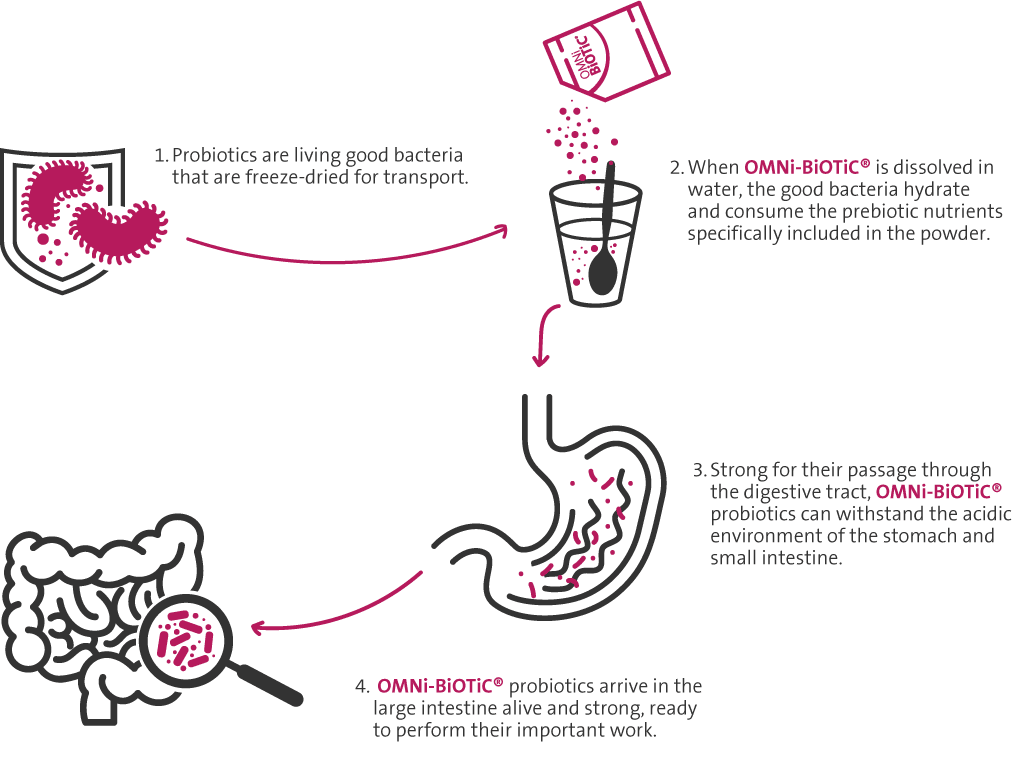 high bacterial survival