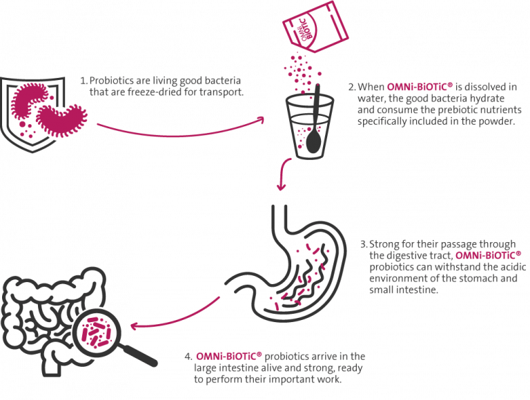 high bacterial survival 1