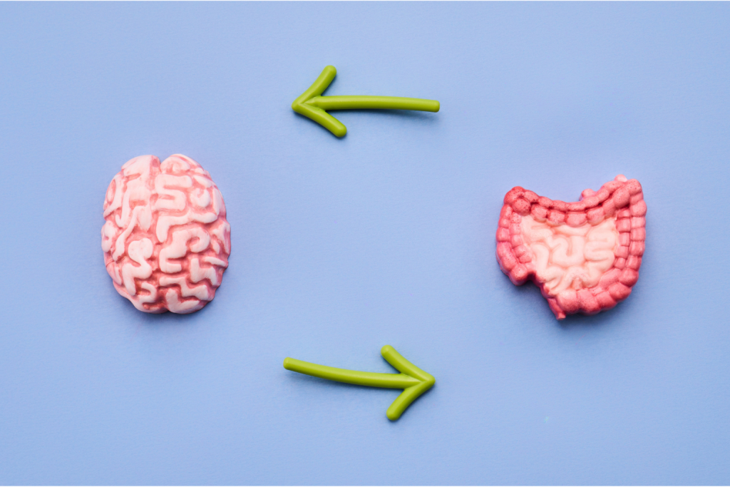 eje intestino-cerebro