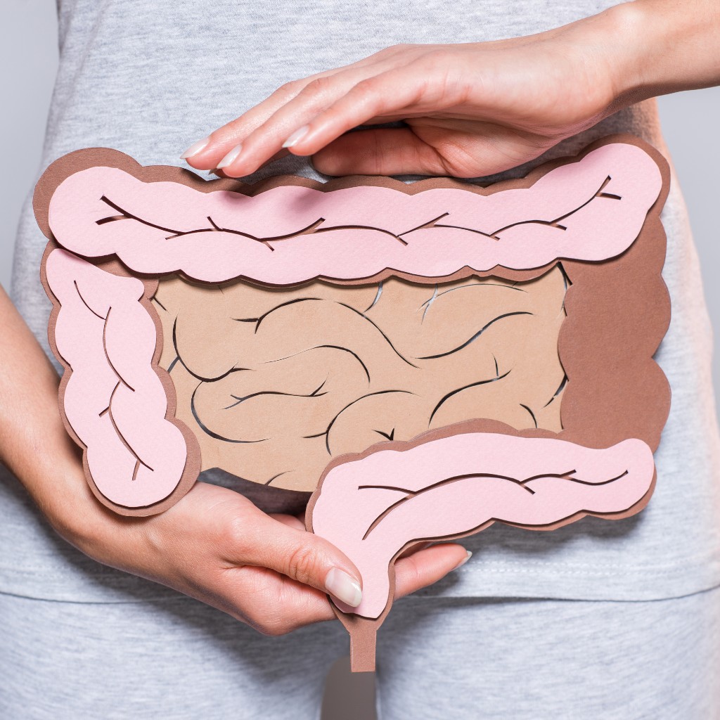 El intestino como centro de la salud