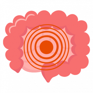 aumento de actividad inmunitaria intestino 300x300 1