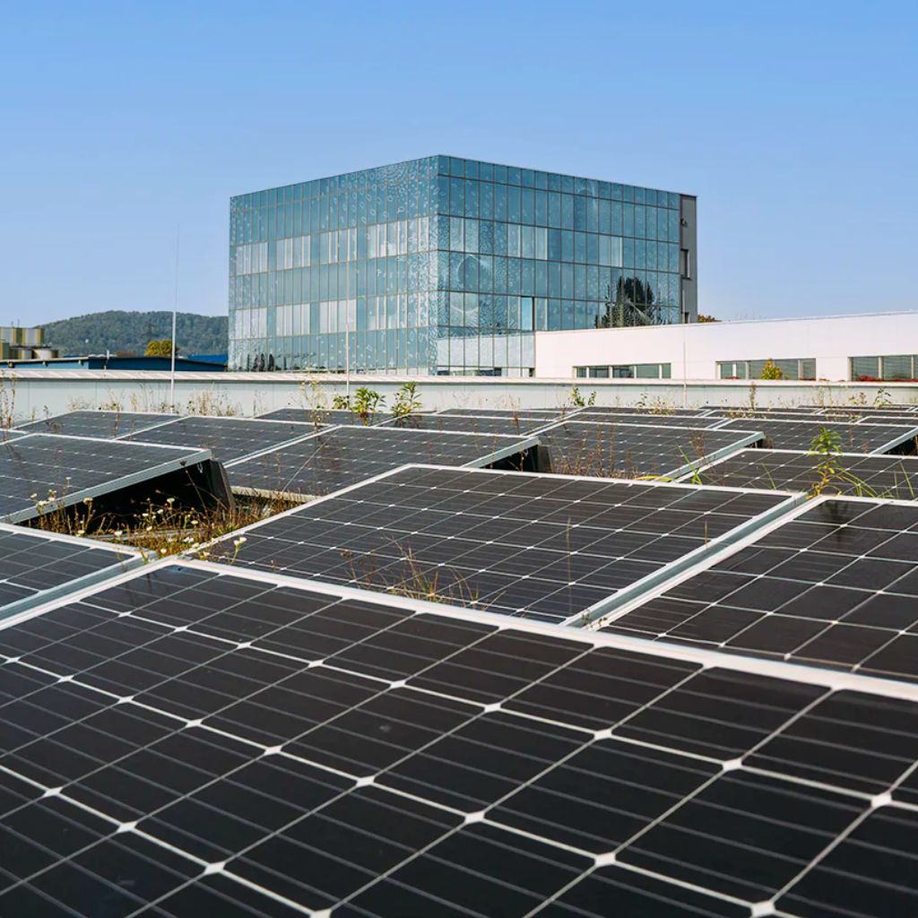 Paneles solares con el edificio de Allergosan Institut de fondo.