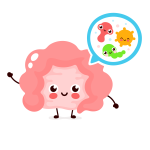 Salud Intestinal - Intestino y bacterias