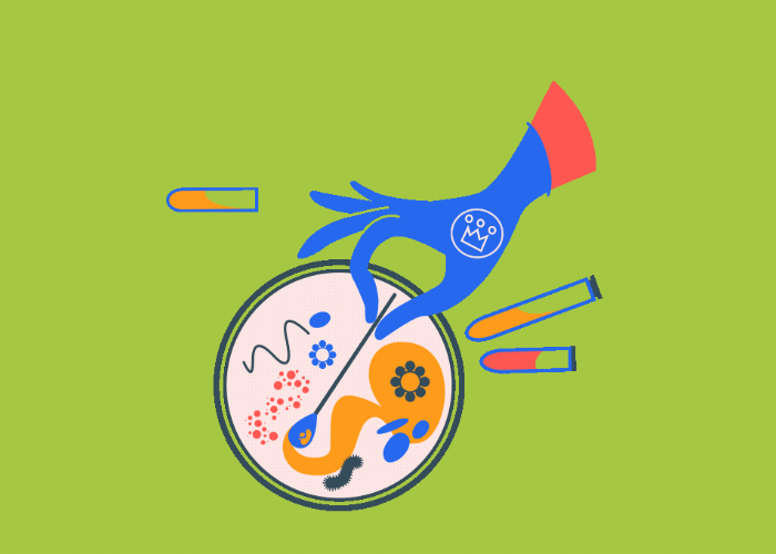 recuento de bacterias