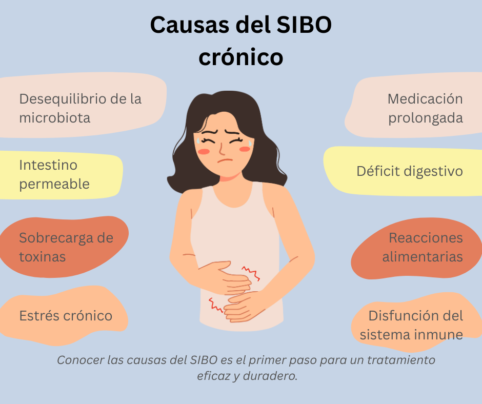 Causas del SIBO crónico